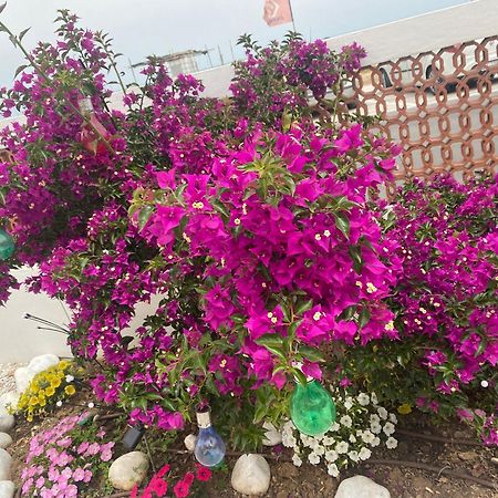Maison Armandi مونتيهمارثيانو المظهر الخارجي الصورة