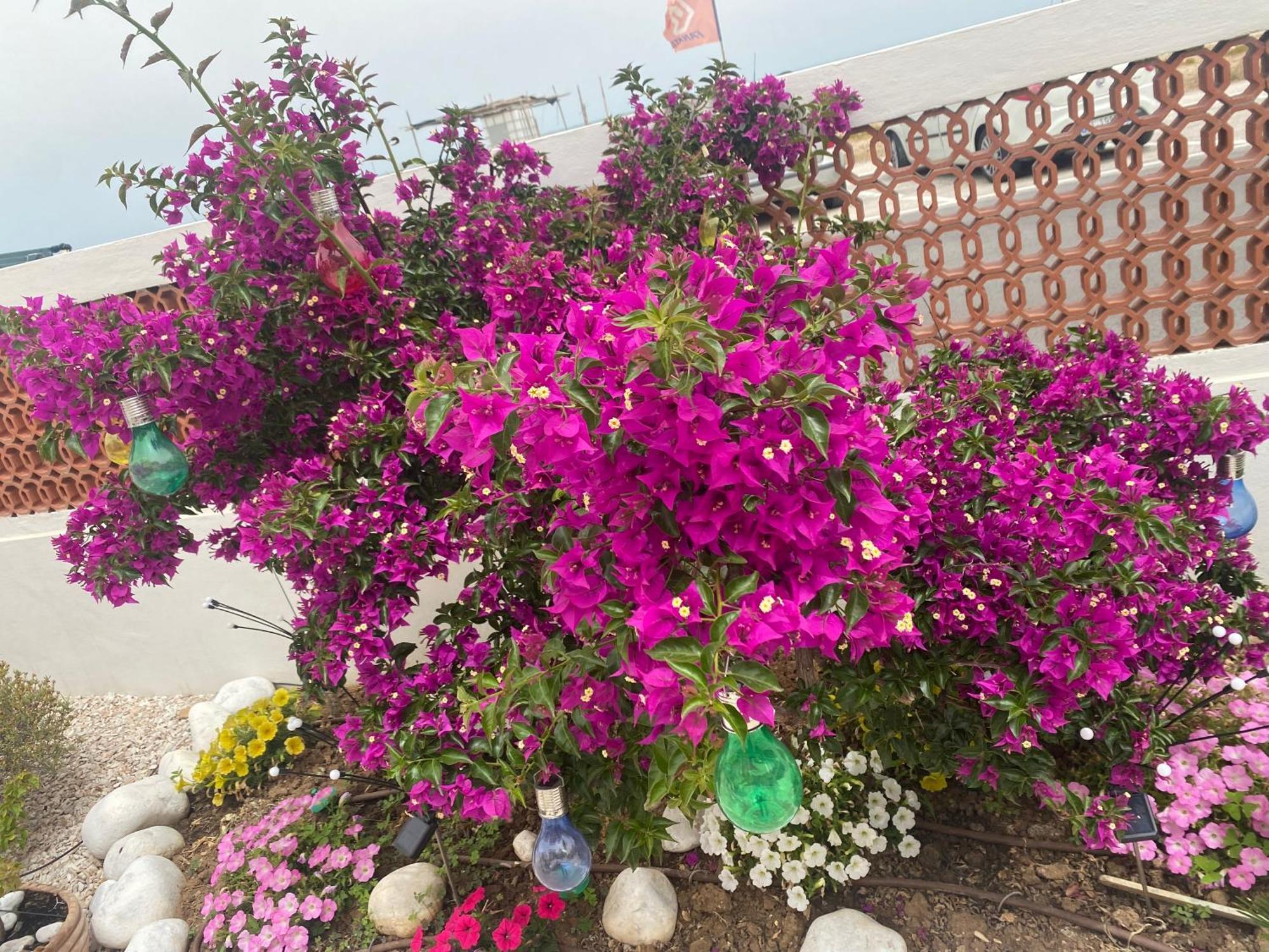 Maison Armandi مونتيهمارثيانو المظهر الخارجي الصورة